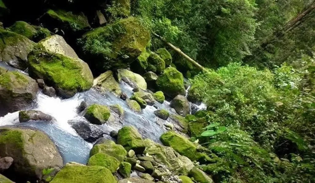 Cagar Alam Sibolangit