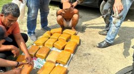 Polda Sumut Ringkus Bandar 20 Kg Ganja Jaringan Napi Rutan