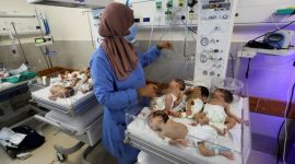 Puluhan bayi prematur dievakuasi dari RS Al-Shifa di Gaza (REUTERS)