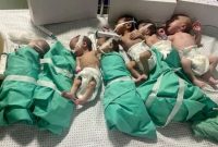 Bayi yang terperangkap di dalam rumah sakit Al-Shifa, dalam gambar yang dikeluarkan oleh staf medis. (REUTERS)