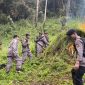 Polda Sumut Musnahkan 110 Ton Ganja. (Foto: istimewa)
