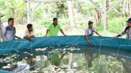 Dinas Ketahanan Pangan dan Pertanian Kabupaten Samosir, Sumatera Utara, memberdayakan petani ikan di daerah itu untuk mengembangkan budi daya ikan dengan menggunakan sistem bioflok.