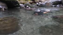 Sungai Kaca Wisata Alam Kasih