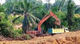 Aktivitas  Galian C Ilegal di  di Kelurahan Bingai, Kecamatan Wampu